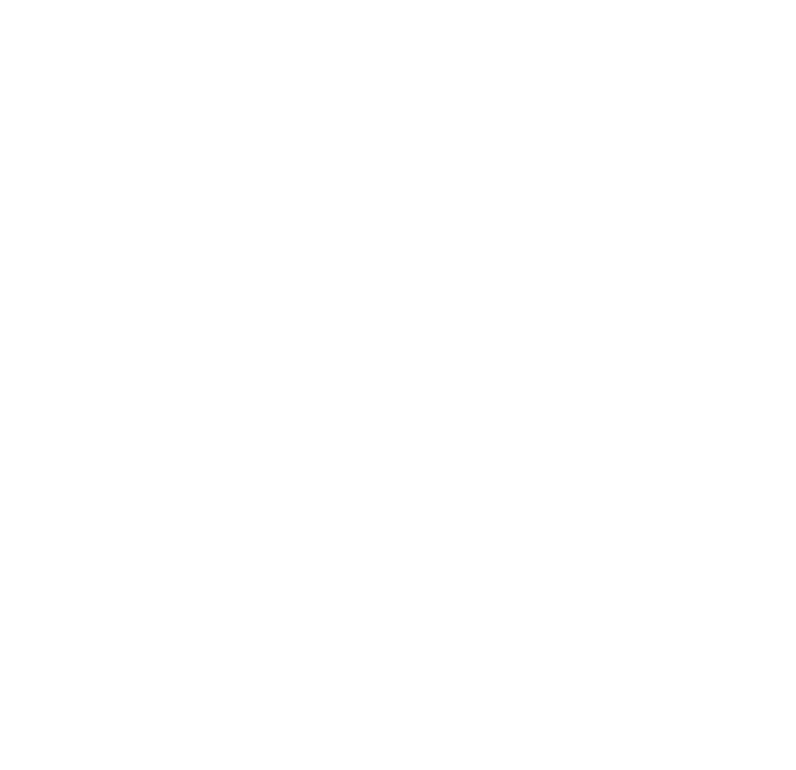 Simon te Brinke