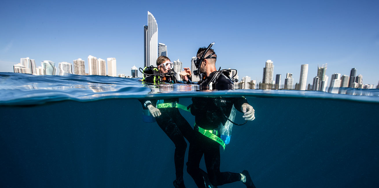 Wonder Reef - marine life gallery