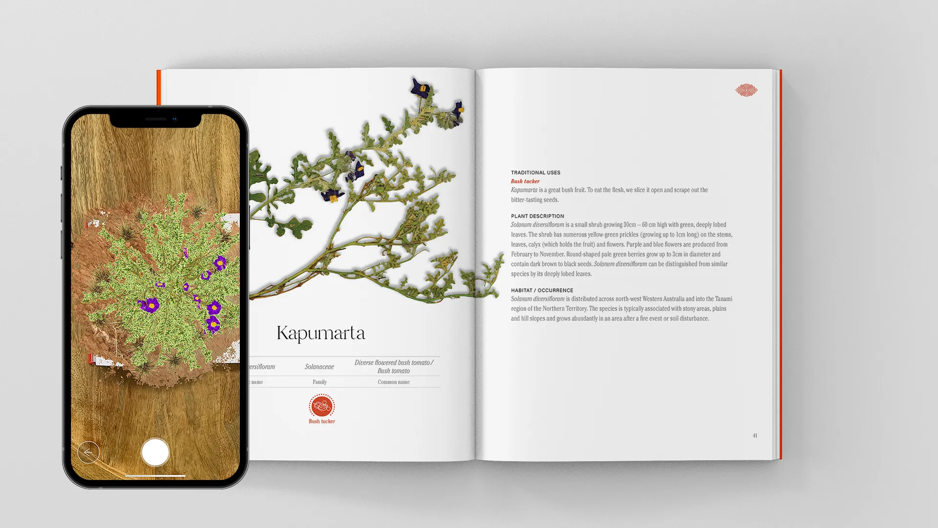 Nyiyaparli Flora Book mockup